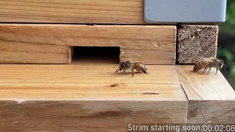 Snapshot of booker_baxton chatting on December 14, 4:07 am Booker Baxton online show from December 14, 4:07 am