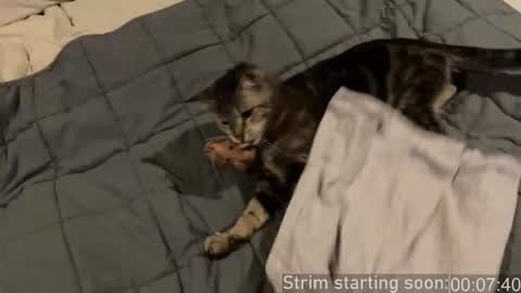 Booker Baxton online show from January 10, 4:03 am