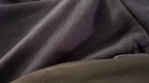 Snapshot of borderslad1101 chatting on November 7, 5:13 pm Borderslad1101 online show from November 7, 5:13 pm