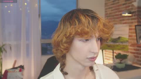 Snapshot of boream_ chatting on December 22, 10:47 pm Bream online show from December 22, 10:47 pm