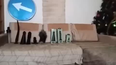 Snapshot of boy7oyy chatting on February 22, 7:14 pm Bes7assquirt online show from February 22, 7:14 pm