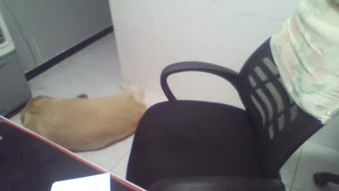 boy_fitbrutal online show from December 2, 1:55 am