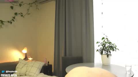 BoyTurtle online show from November 5, 10:04 am