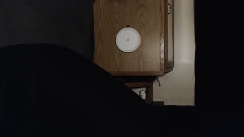 Snapshot of branflakes_ chatting on September 13, 2:44 am branflakes_ online show from September 13, 2:44 am