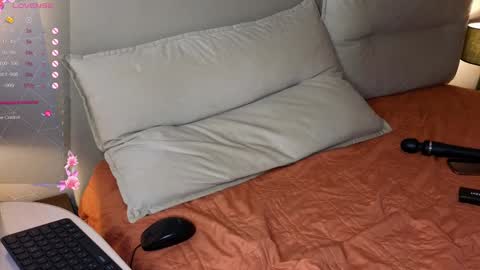 Snapshot of brightrays__ chatting on October 20, 12:22 am Amina Adelina online show from October 20, 12:22 am