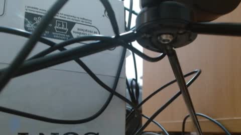 Snapshot of brigittebia777 chatting on October 10, 3:38 am brigittebia777 online show from October 10, 3:38 am