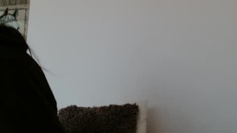 Snapshot of brigittebia777 chatting on October 24, 10:11 am brigittebia777 online show from October 24, 10:11 am