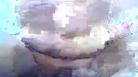 Snapshot of brilliant7 chatting on November 2, 4:59 am Josh online show from November 2, 4:59 am