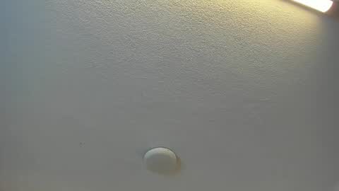 Brittany  online show from April 19, 7:38 pm