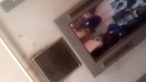 Brobator-gator online show from March 5, 7:21 pm