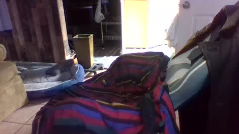 Snapshot of brutal3anddone chatting on October 16, 5:14 pm brutal3anddone online show from October 16, 5:14 pm