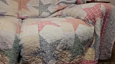 brytown4200 online show from November 7, 11:32 am