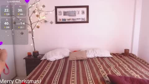Snapshot of buckwheat_queen chatting on December 25, 9:54 pm Mira online show from December 25, 9:54 pm