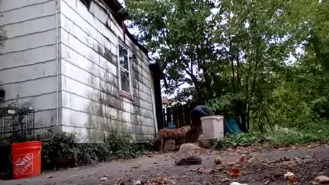 Snapshot of buddylovex chatting on October 6, 10:18 pm buddylovex online show from October 6, 10:18 pm