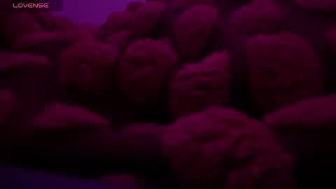 Snapshot of bukkakebae chatting on November 15, 12:30 am bukkakebae online show from November 15, 12:30 am