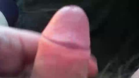 Snapshot of bullemoe chatting on November 5, 7:41 am bullemoe online show from November 5, 7:41 am