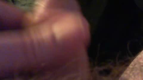 Snapshot of bullemoe chatting on December 15, 9:52 pm bullemoe online show from December 15, 9:52 pm