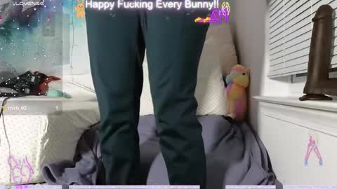 Tokki  bunny  online show from December 12, 2:37 am