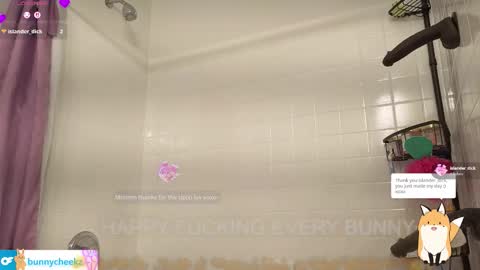 Snapshot of bunnycheekz chatting on February 2, 5:06 am Tokki bunny online show from February 2, 5:06 am