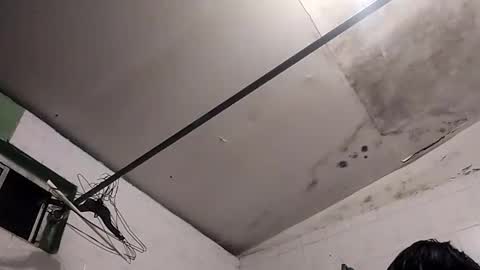 bunnychocolatte69 online show from November 30, 5:00 am