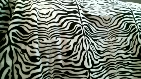 bustinfree online show from February 5, 3:31 pm