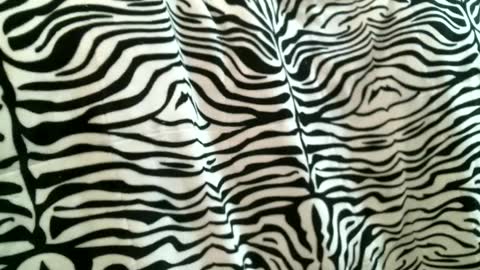 bustinfree online show from September 9, 5:56 pm