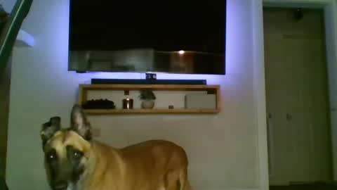 Snapshot of bwc44u chatting on October 2, 2:07 am bwc44u online show from October 2, 2:07 am