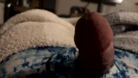 byrdbean online show from January 17, 7:46 am