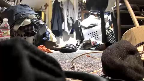 Snapshot of c547409 chatting on October 21, 10:32 pm c547409 online show from October 21, 10:32 pm