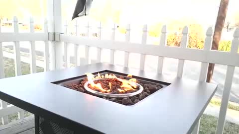 Snapshot of camaro383ci1994 chatting on December 25, 2:23 pm Chillaxin lets talk online show from December 25, 2:23 pm