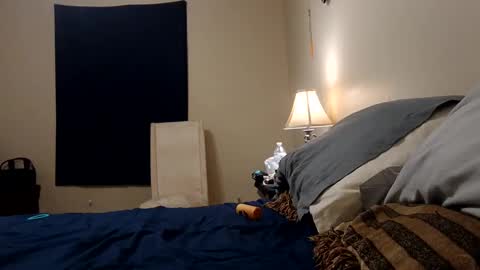 Snapshot of camerontaylorcub chatting on September 29, 5:56 am camerontaylorcub online show from September 29, 5:56 am