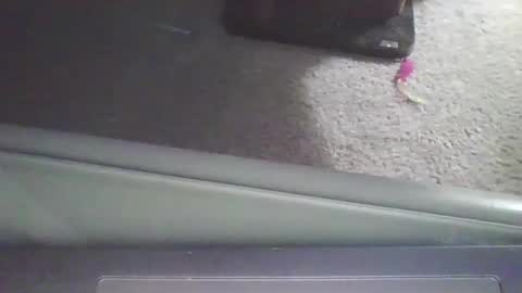 cammyman6900 online show from September 11, 4:01 am