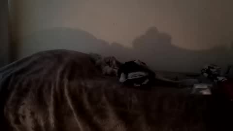 Snapshot of camren777 chatting on October 7, 2:47 pm Camren online show from October 7, 2:47 pm