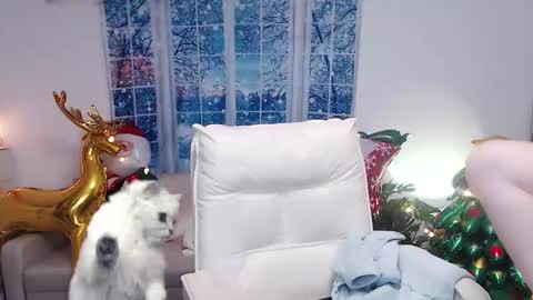 Snapshot of candy8998 chatting on December 16, 12:16 pm candy8998 online show from December 16, 12:16 pm