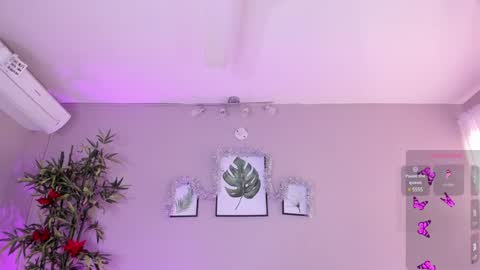 Isabella online show from December 2, 3:25 pm