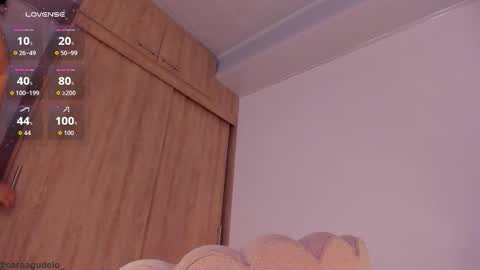 carolinna_ online show from February 18, 1:45 am