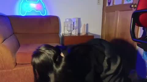 Snapshot of caroll_luna chatting on December 7, 5:15 am kitty online show from December 7, 5:15 am