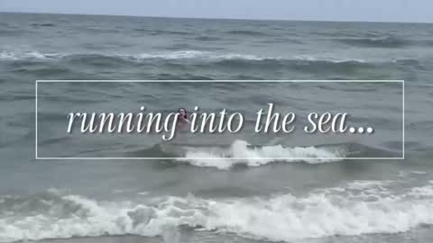 Snapshot of carriemadsin chatting on December 2, 11:00 pm carrie madsin online show from December 2, 11:00 pm