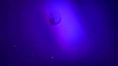 casidy1 online show from January 21, 6:00 am