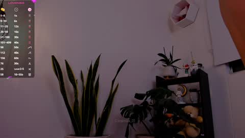 MACARENA online show from January 6, 11:52 pm