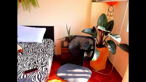 Cataina Lince online show from December 9, 7:07 pm