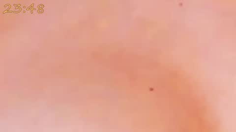 Snapshot of catty_foxx chatting on January 25, 6:24 pm online show from January 25, 6:24 pm