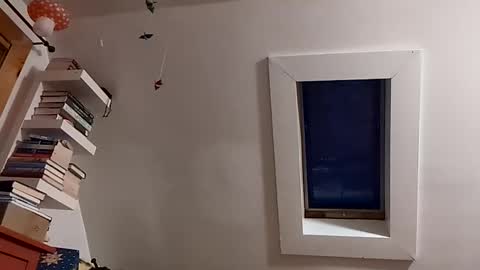 cbgbabc online show from February 14, 11:07 am