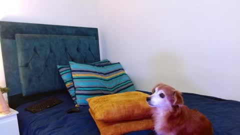 Snapshot of cedrixx10 chatting on October 25, 1:02 am Cedrixx10 online show from October 25, 1:02 am