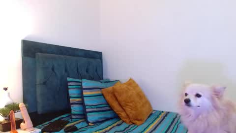 Snapshot of cedrixx10 chatting on November 11, 10:32 pm Cedrixx10 online show from November 11, 10:32 pm