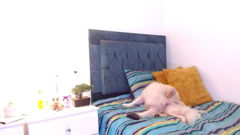 Snapshot of cedrixx10 chatting on December 16, 9:31 pm Cedrixx10 online show from December 16, 9:31 pm