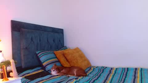 Cedrixx10 online show from December 19, 9:55 pm