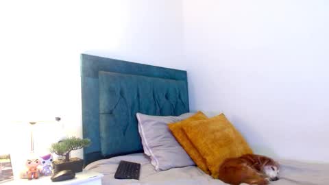 Cedrixx10 online show from February 25, 10:19 pm