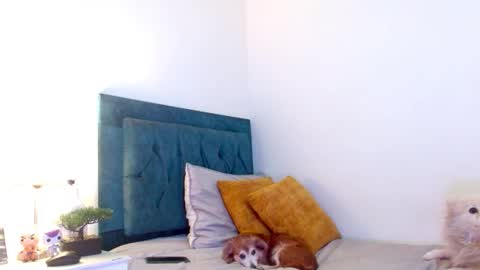 Cedrixx10 online show from March 14, 11:10 pm