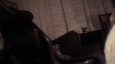 cfnmfriendly online show from October 23, 4:06 pm